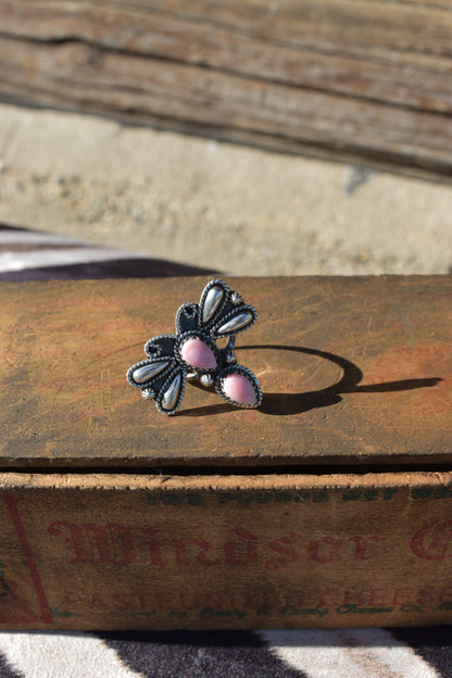 Pink Conch dragonfly