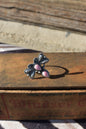 Pink Conch dragonfly